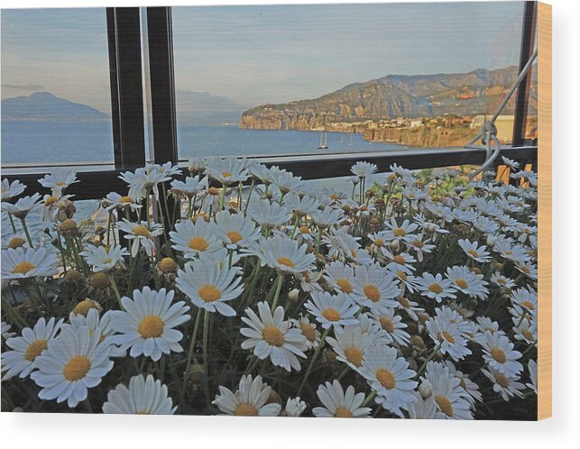 Sorrento Wood Print featuring the photograph Sorrento - View with Flowers by Yvonne Jasinski
