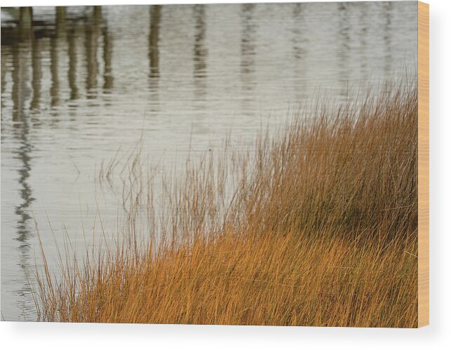 Marsh Wood Print featuring the photograph Sound Reflections by Joni Eskridge