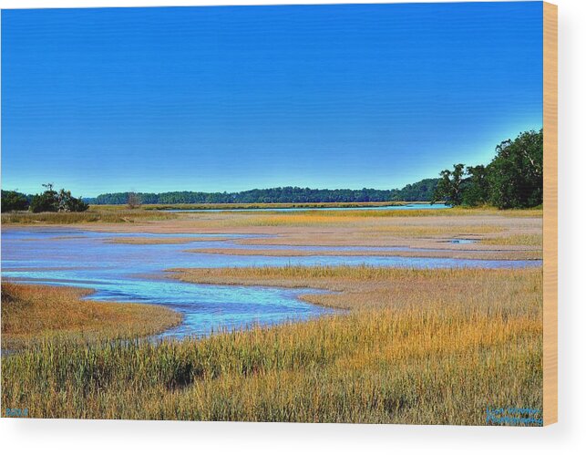 South Carolina Lowcountry Wood Print featuring the photograph South Carolina Lowcountry H D R by Lisa Wooten