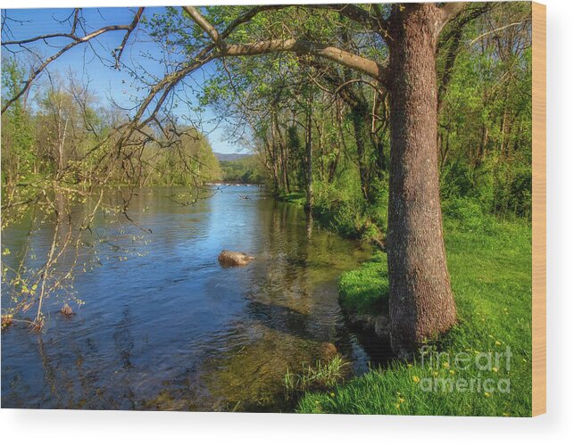 South Holston Wood Print featuring the photograph South Holston River in Spring by Shelia Hunt