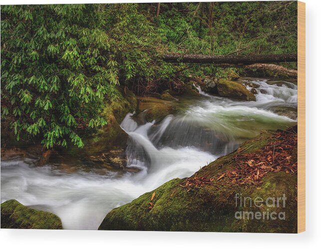Indian Creek Wood Print featuring the photograph South Indian Creek by Shelia Hunt