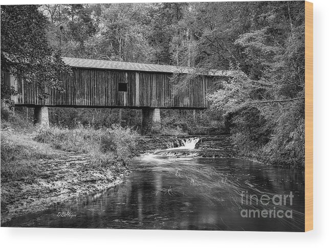 Black And White Wood Print featuring the photograph Southern Gem III in Black and White by DB Hayes