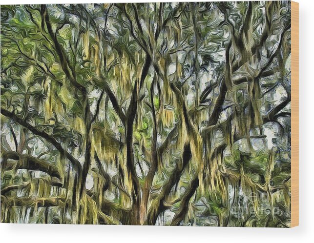 Spanish Moss Wood Print featuring the photograph Spanish Moss Two - Swirly and Golden by Sea Change Vibes