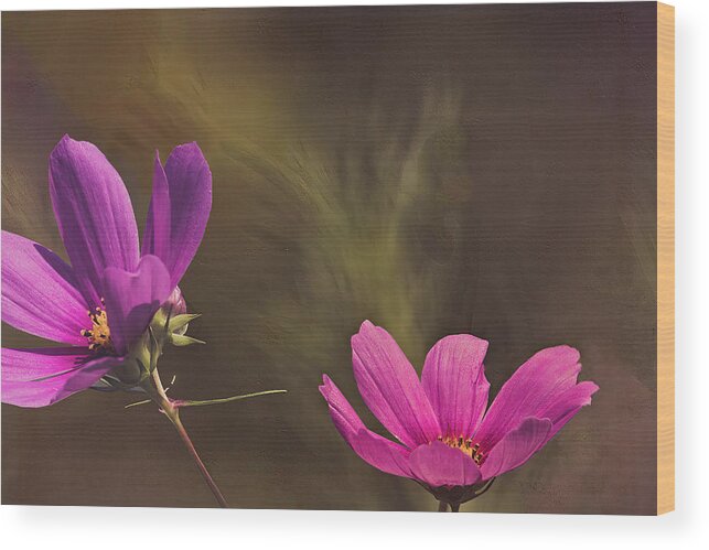 Wildflowers Wood Print featuring the photograph Spirit Among the Flowers by Skip Tribby