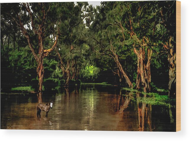 Pony Wood Print featuring the photograph Spirit Pony in a Windswept Mangrove by Wayne King