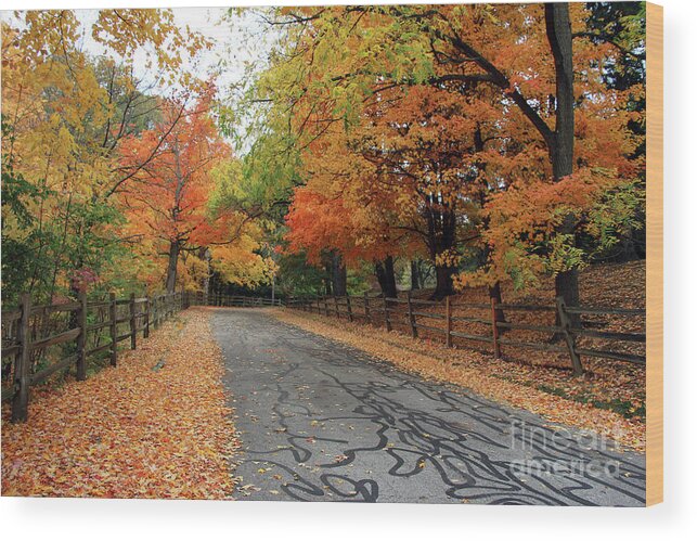 Split Rail Fence Wood Print featuring the photograph Split Rail Fence and Fall Color 6973 by Jack Schultz