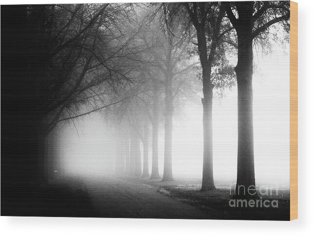 Cemetery Wood Print featuring the photograph Spooky Path by Pam Holdsworth