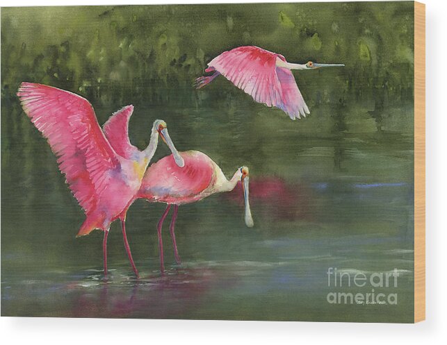 Watercolor Spoonbills Wood Print featuring the painting Spoonbills by Amy Kirkpatrick