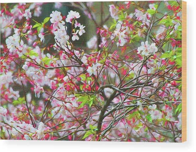 Blossom Wood Print featuring the photograph Spring Blossoms by Bonnie Follett