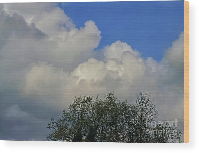 Digital Art Wood Print featuring the photograph Spring clouds at Chadderton Hall Park Manchester UK by Pics By Tony
