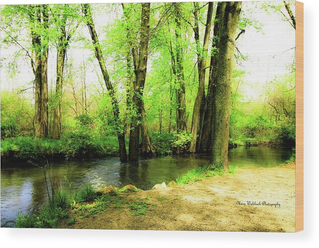 Landscape Wood Print featuring the photograph Spring Dreams by Mary Walchuck