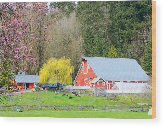 Landscape Wood Print featuring the photograph Spring Farm by Bill TALICH