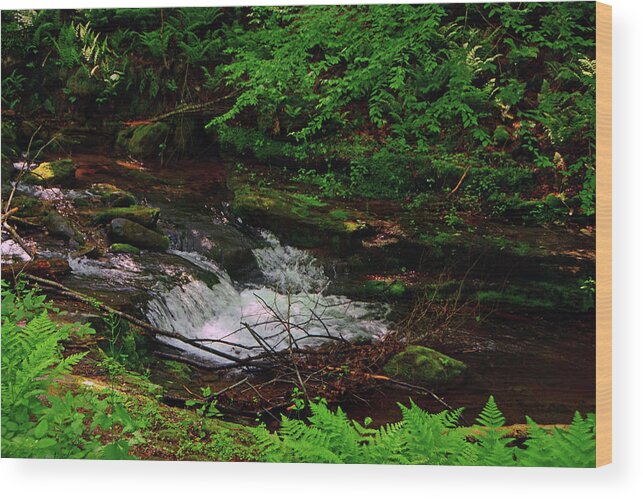 Spring Green Ferns With Dunnfield Creek Wood Print featuring the photograph Spring Green Ferns With Dunnfield Creek by Raymond Salani III