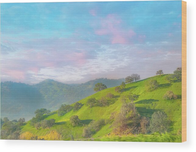 Landscape Wood Print featuring the photograph Spring Hill Morning by Patti Deters