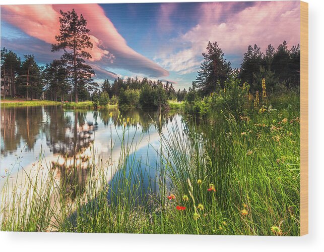 Mountain Wood Print featuring the photograph Spring Lake by Evgeni Dinev