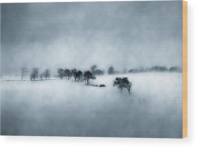 Mist Wood Print featuring the photograph Spring Struggles Forward by Wayne King