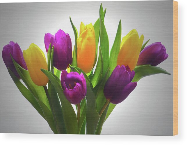 Tulips Wood Print featuring the photograph Spring Tulips by Terence Davis