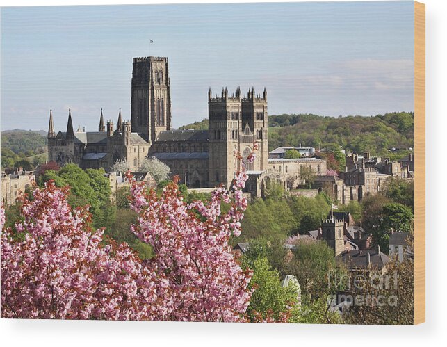Great Britain Wood Print featuring the photograph Spring view of Durham Cathedral by Bryan Attewell