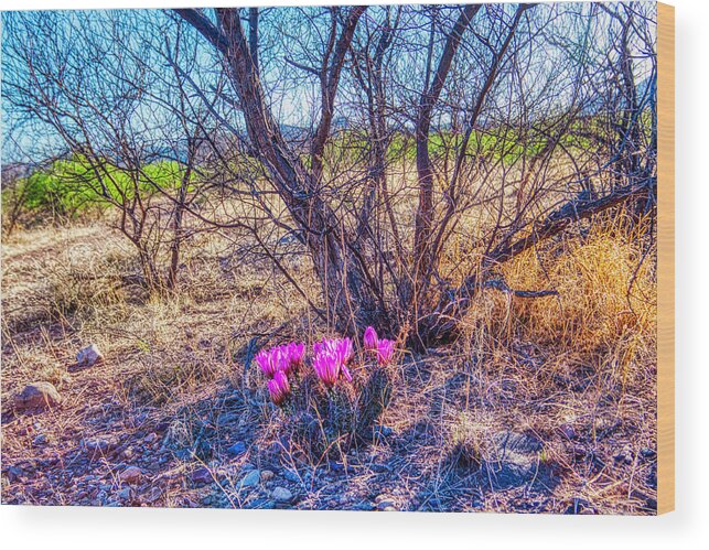 Springtine Wood Print featuring the photograph Springtime in Arizona by Tatiana Travelways