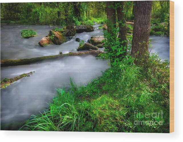 Spring Wood Print featuring the photograph Springtime in Tennessee by Shelia Hunt