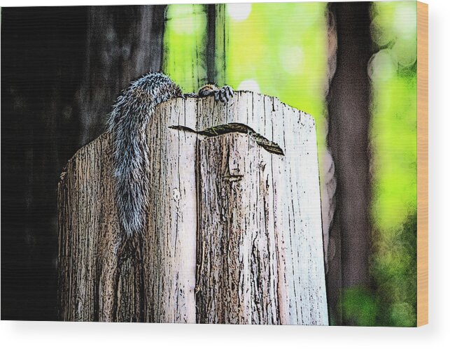 Charlotte-park Wood Print featuring the digital art Squirrel at the Lake by SnapHappy Photos