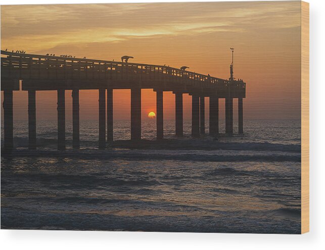 Beach Wood Print featuring the photograph St. Augustine Pier by George Strohl