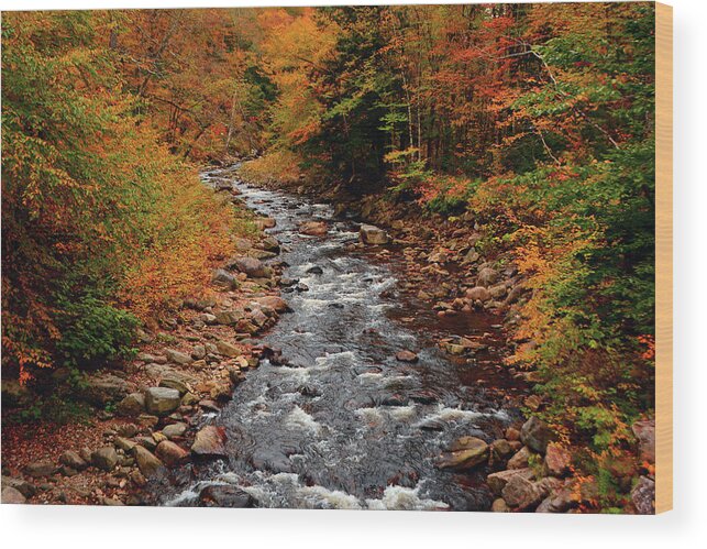 Stamford Stream Vt Right After Route 9 Wood Print featuring the photograph Stamford Stream VT Right After Route 9 by Raymond Salani III