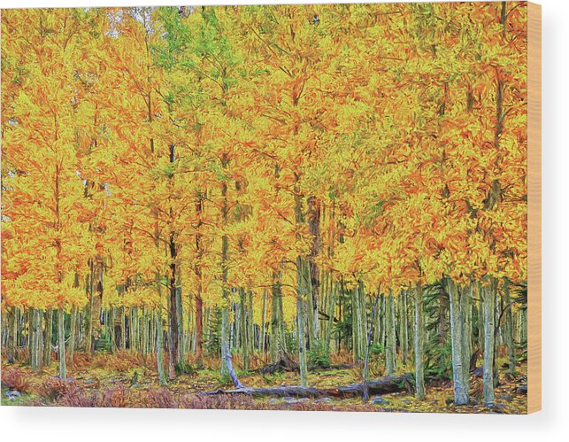 Foliage Wood Print featuring the photograph Stand of Aspens-Digital Art by Steve Templeton