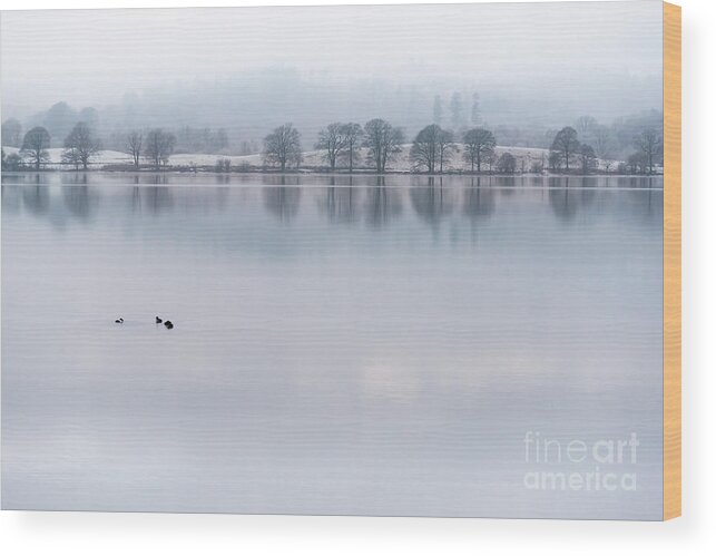 Lake District Wood Print featuring the photograph Still Water Lake, Cumbria by Perry Rodriguez