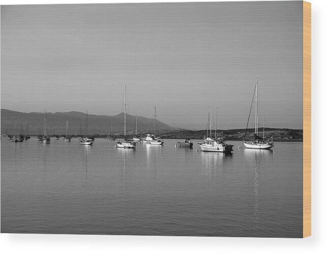 Boats Wood Print featuring the photograph Stillness in the Bay by Gina Cinardo