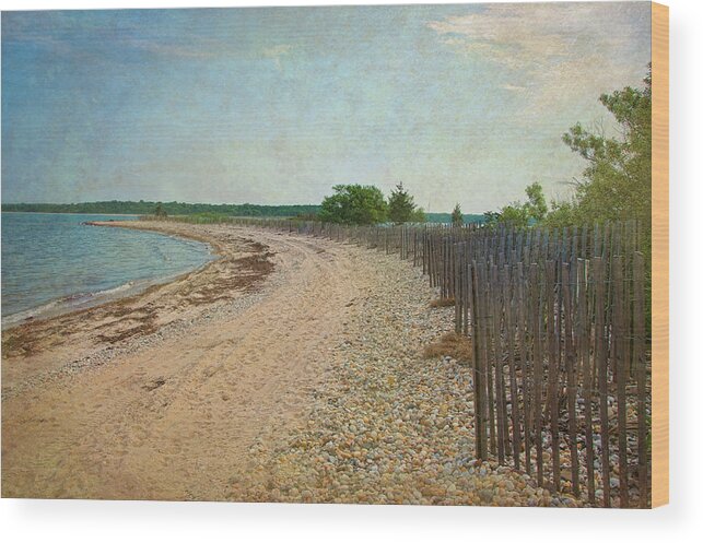 Fence Wood Print featuring the photograph Stone Beach by Cathy Kovarik