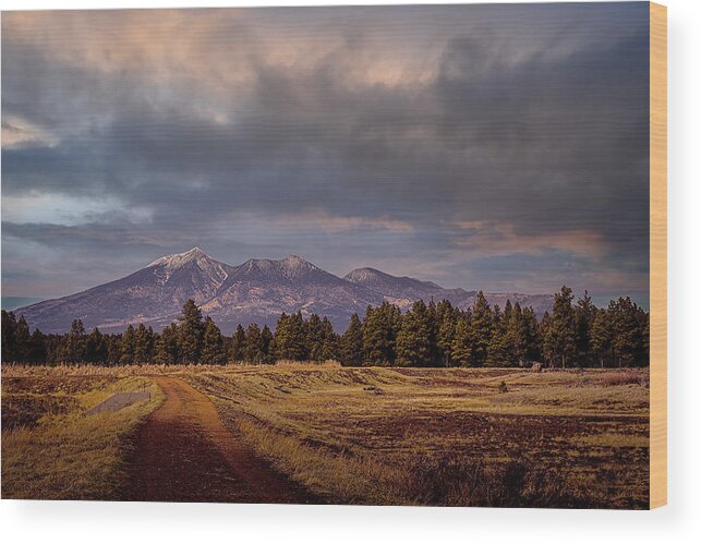 Wetlands Wood Print featuring the photograph Stormy Skies by Laura Putman