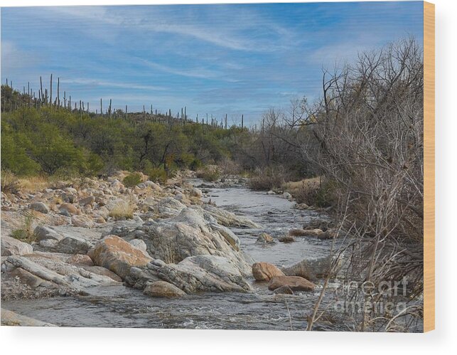 Stream In Catalina Mountains Wood Print featuring the digital art Stream in Catalina Mountains by Tammy Keyes