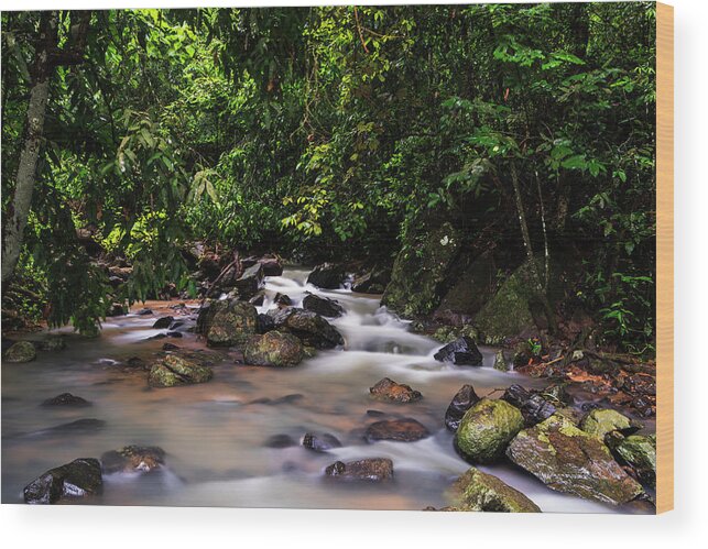 Stream Wood Print featuring the photograph Stream in the jungles by Vishwanath Bhat