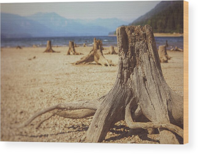 Mountain Wood Print featuring the photograph Stump Town by Go and Flow Photos