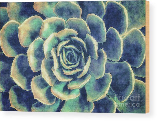 Succulent Wood Print featuring the digital art Succulent Plant by Phil Perkins