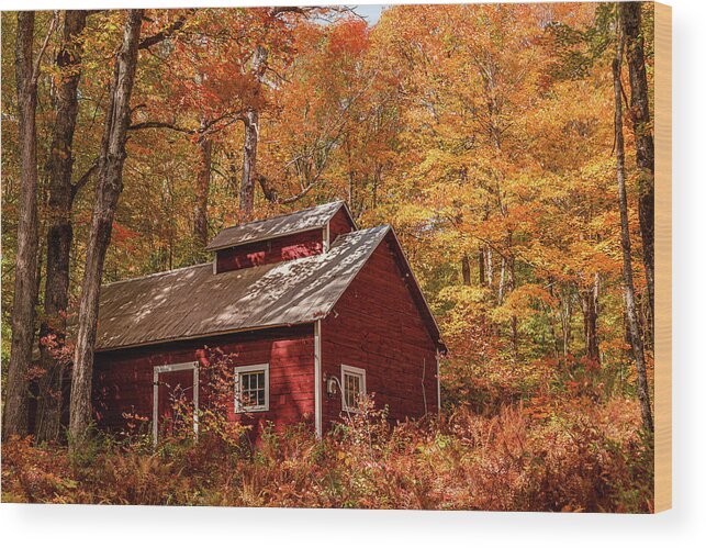 Vermont Wood Print featuring the photograph Sugarhouse in Fall - Danville by Tim Kirchoff