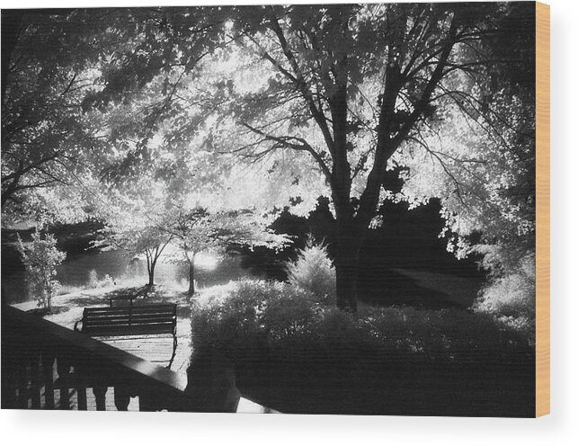 Infrared Black And White Wood Print featuring the photograph Summer at Quiet Waters No.7 - Infrared Black and White Film Photograph by Steve Ember