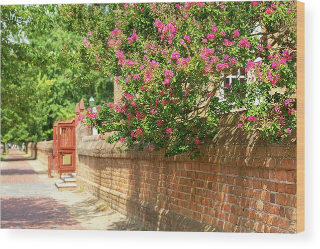 Colonial Williamsburg Wood Print featuring the photograph Summer Morning on DOG Street by Rachel Morrison
