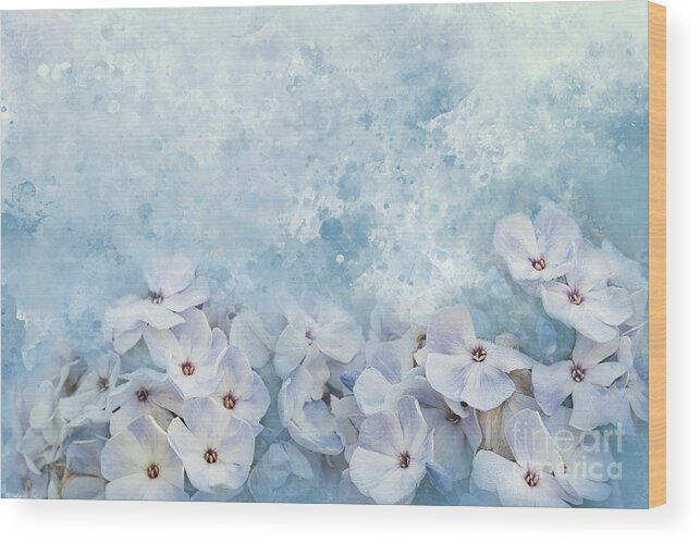 Blue Wood Print featuring the photograph Summer Phlox Textures by Amy Dundon