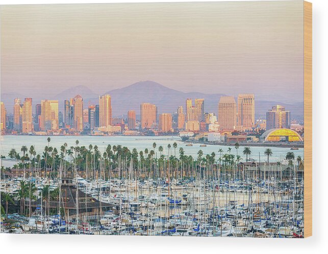 San Diego Wood Print featuring the photograph San Diego Summer Skyline #2 by Joseph S Giacalone