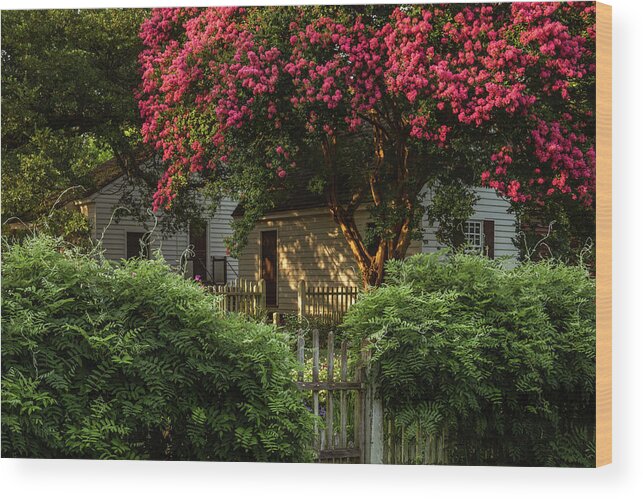 Colonial Williamsburg Wood Print featuring the photograph Summer Sunset in a Garden by Rachel Morrison