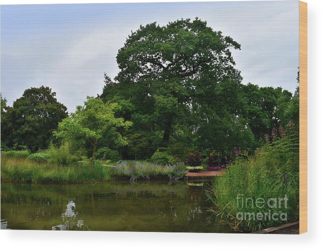 City Wood Print featuring the photograph Summer Tranquillity by Yvonne Johnstone