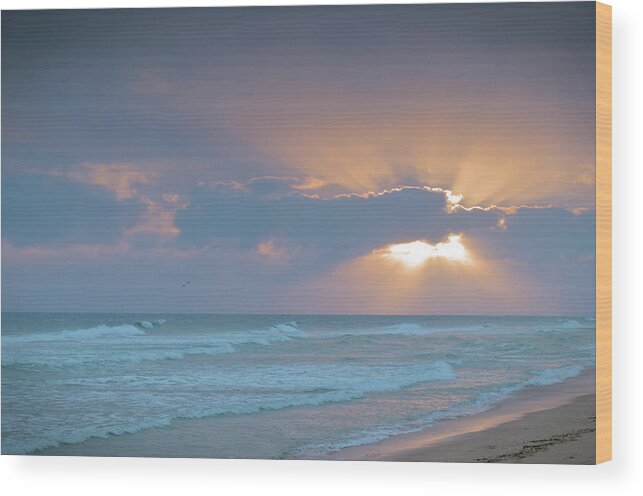 Beach Sunset Wood Print featuring the photograph Sun and Clouds in Ilha Deserta. Algarve by Angelo DeVal