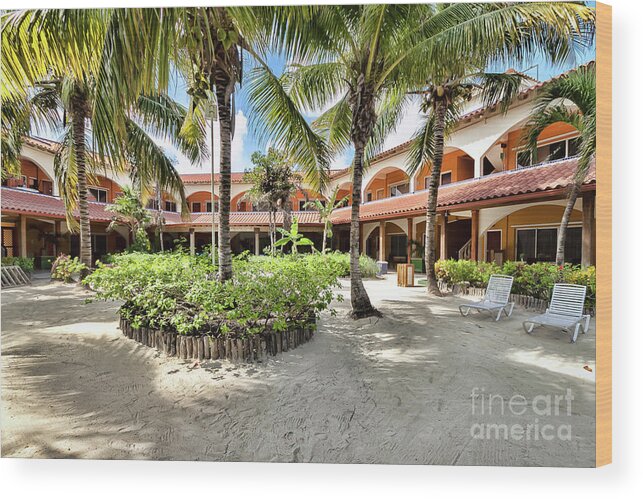 Ambergris Caye Wood Print featuring the photograph Sun Breeze Hotel by Lawrence Burry