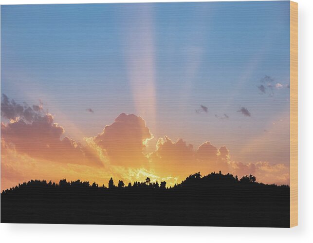Sunbeam Wood Print featuring the photograph Sunbeams Shining Over Tree Silhouettes by Alexios Ntounas