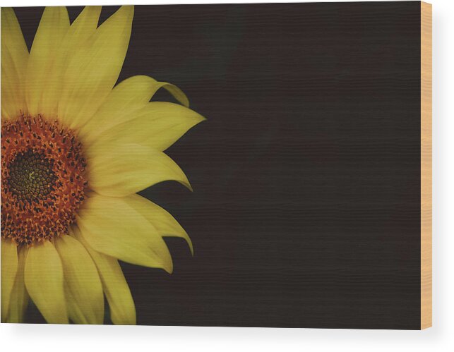Sunflower Wood Print featuring the photograph Sunflower #2 by Ada Weyland