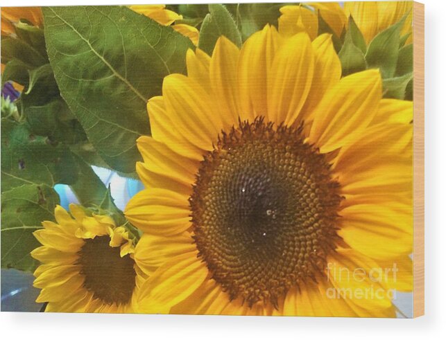 Flower Wood Print featuring the photograph Sunflower by Jimmy Clark