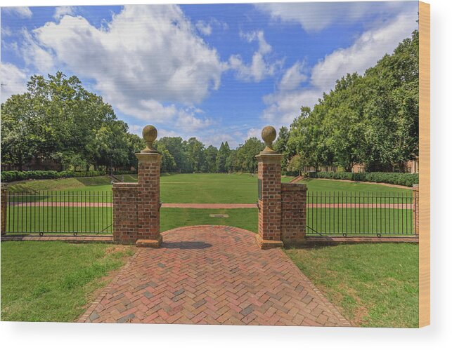 William & Mary Wood Print featuring the photograph Sunken Garden at William and Mary by Jerry Gammon