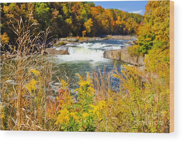 Ohiopyle Falls Wood Print featuring the photograph Sunny Fall Day at Ohiopyle Falls by SCB Captures